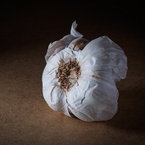 The garlic. Title photograph of gallery Diaries XXII.