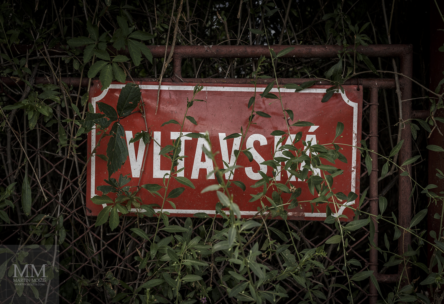 Fotografie názvu ulice Vltavská, částečně skrytého za větvičkami keřů. Velkoformátová umělecká fotografie. Martin Mojžíš.