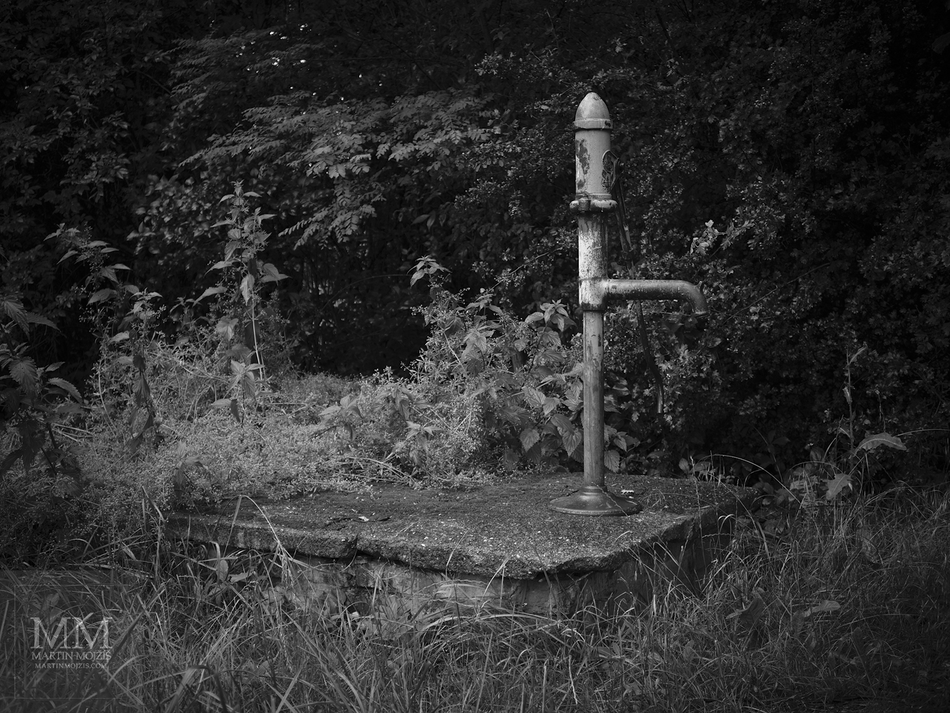 Fine Art black and white photograph of the still-life. Martin Mojzis.