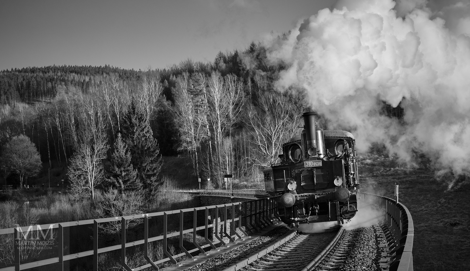 Černobílá tónovaná fotografie parního vlaku na mostě. Martin Mojžíš.