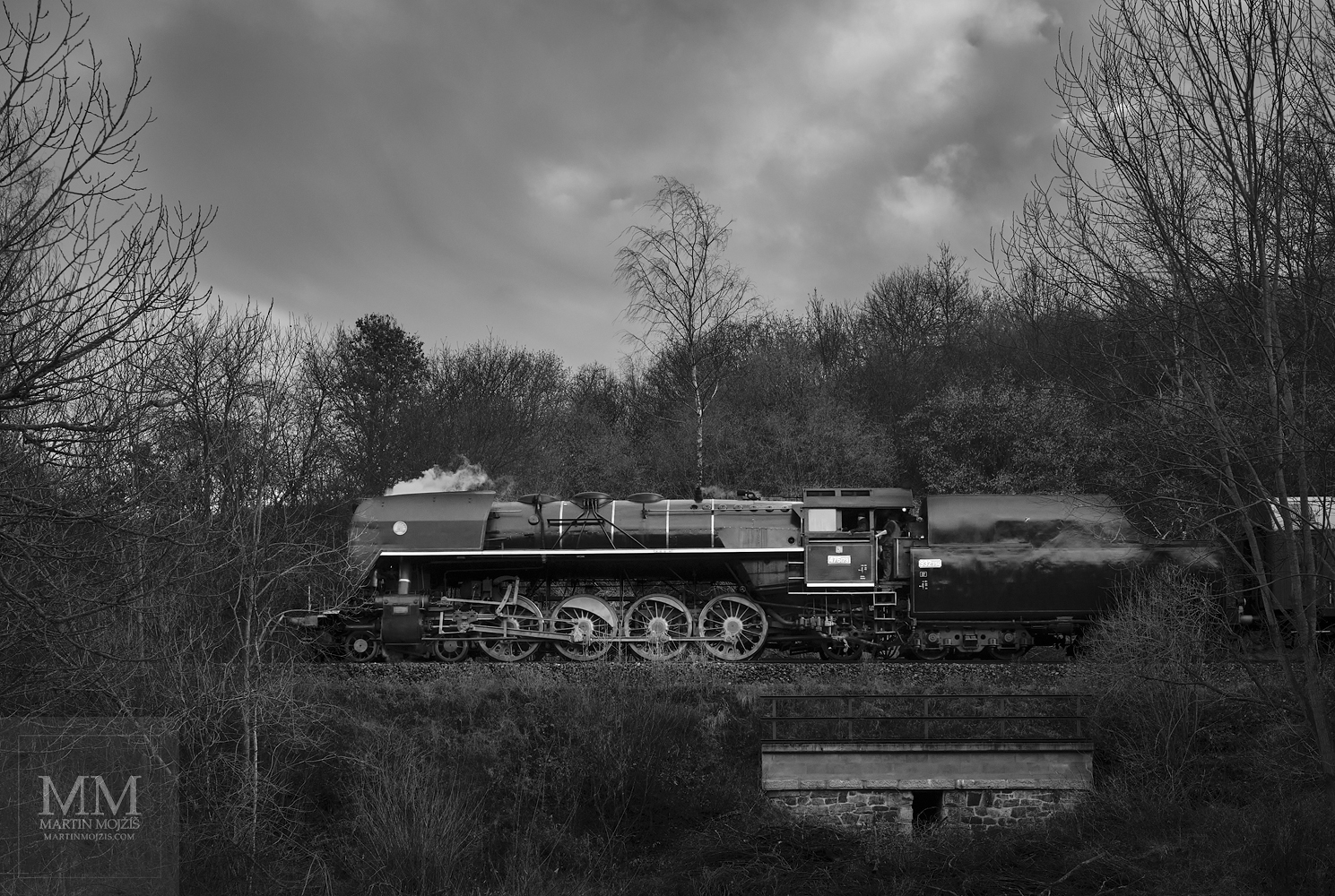 Fine Art large format black and white photograph of the steam train. Martin Mojzis.