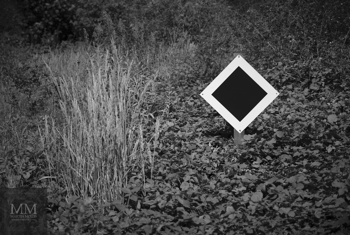 Železniční symbol konec trati obklopený travami s listy keřů. Umělecká černobílá fotografie s názvem ZMIZELÉ KOLEJE II. Fotograf Martin Mojžíš.