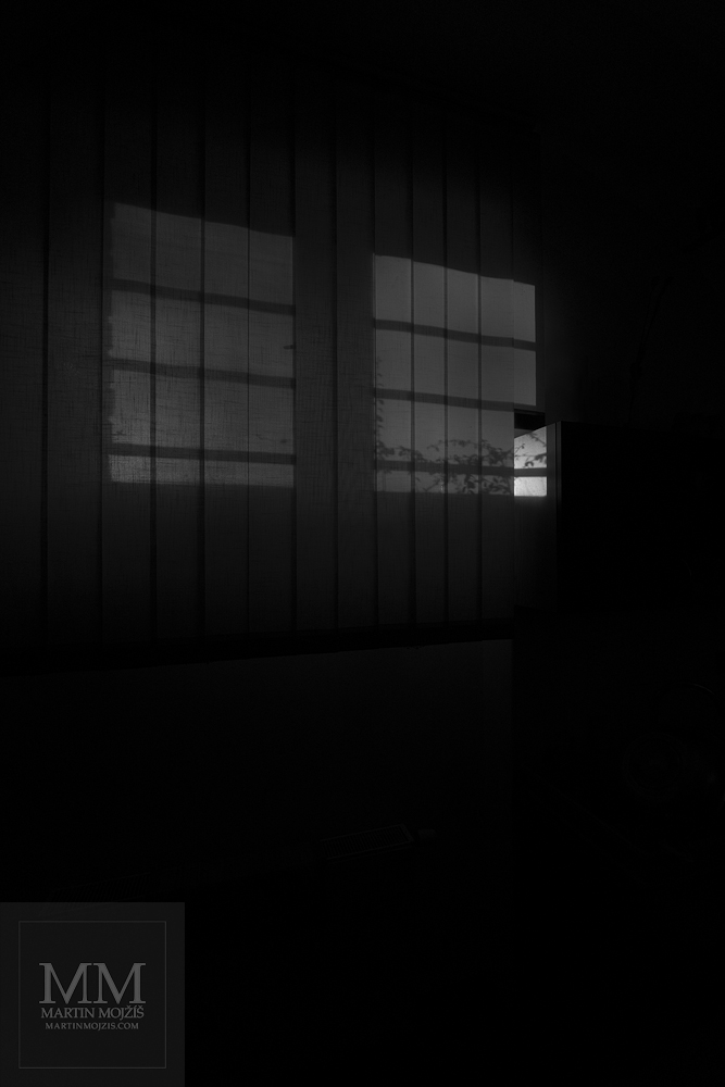 Okno prosvítající za závěsy, siluety rostlin. Umělecká černobílá fotografie s názvem ZA OKNEM JE NOVÝ ROK. Fotograf Martin Mojžíš.