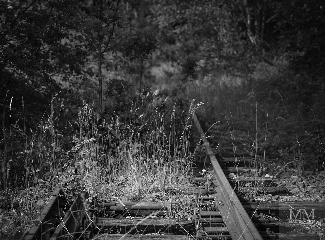 Železniční vlečka zarůstající travou. Umělecká fotografie s názvem VLAKY JIŽ ODJELY II. Fotograf Martin Mojžíš.