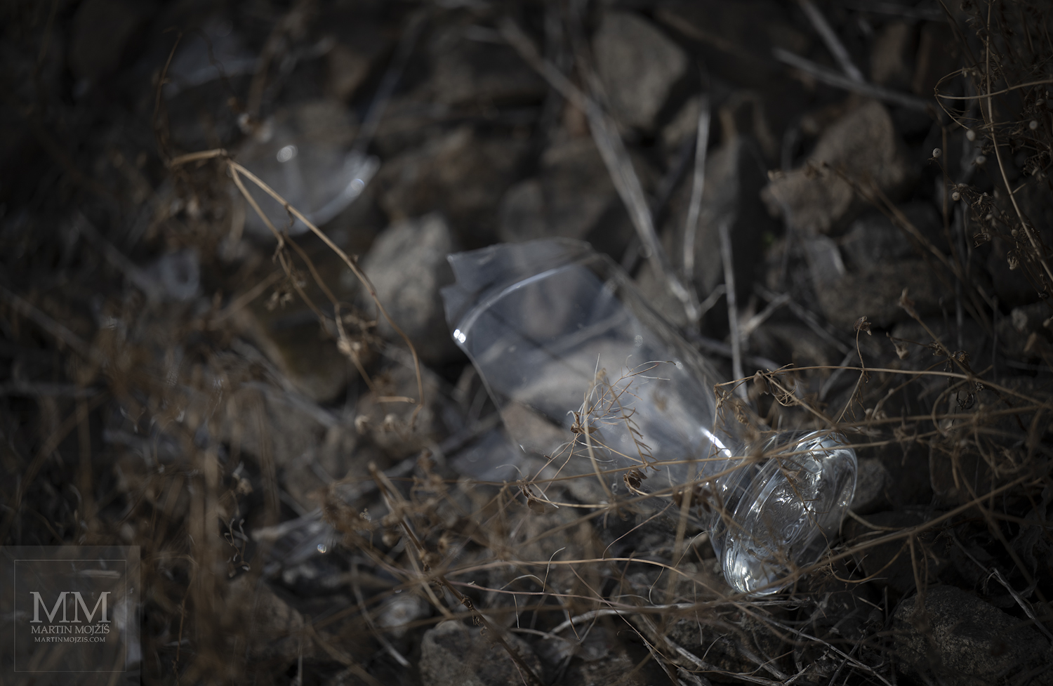 A broken glass in the grass. Fine art photograph IN THE GRASSES III, photographed by Martin Mojzis.