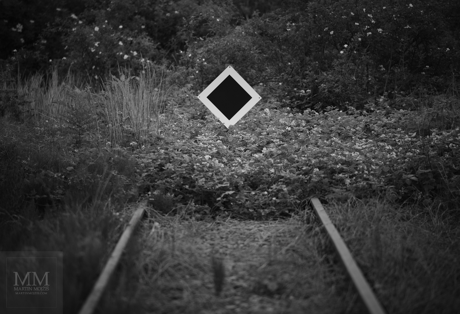 Železniční koleje končící v travinách a keřích. Umělecká černobílá fotografie s názvem KONEC A ZAČÁTEK. Fotograf Martin Mojžíš.