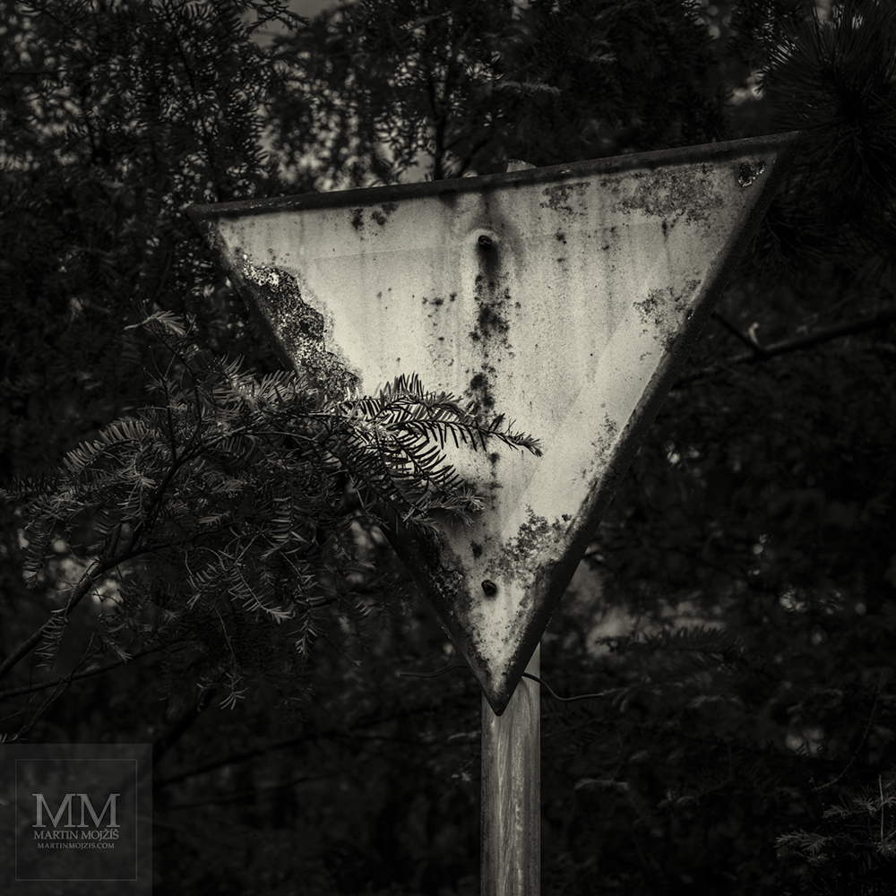 Old weathered road sign. Photograph with title STOP, GIVE WAY IN THE NEST!
