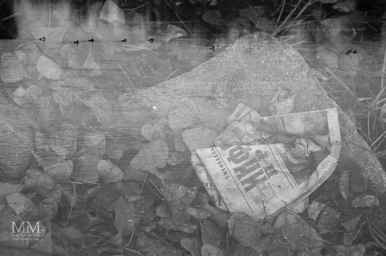 Prolnuté staré noviny a plovoucí vodní ptáci. Umělecká černobílá fotografie Martina Mojžíše s názvem POD VODOU.