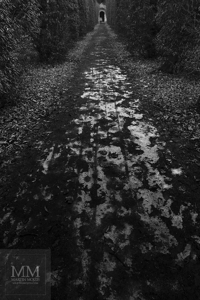 Cesta se zbytky sněhu mezi keři vedoucí k malé kapli. Umělecká černobílá fotografie Martina Mojžíše s názvem NA KONCI U CÍLE.