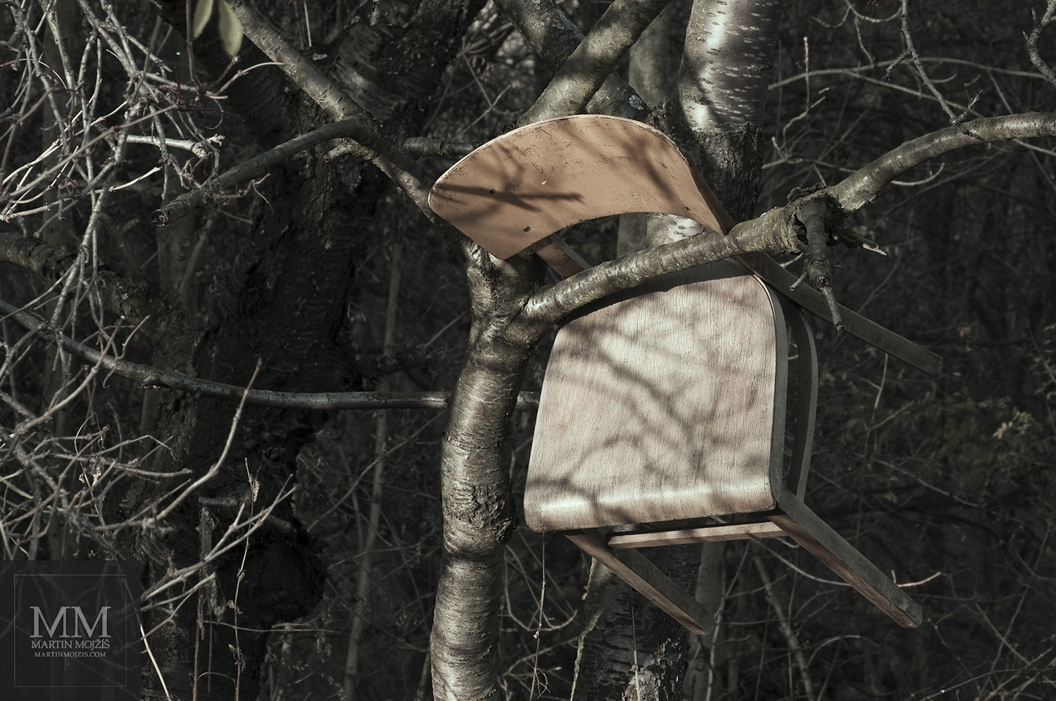 Židle ukrytá ve větvích stromů. Umělecká fotografie Martina Mojžíše s názvem ŽIDLE II.