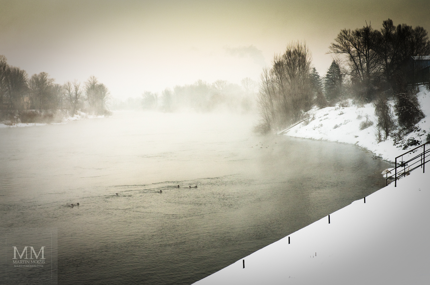 Řeka v zimě, kachny, sníh, mlha.
