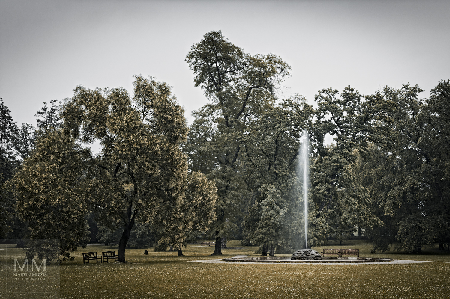 Vodotrysk v parku, stromy, tráva.