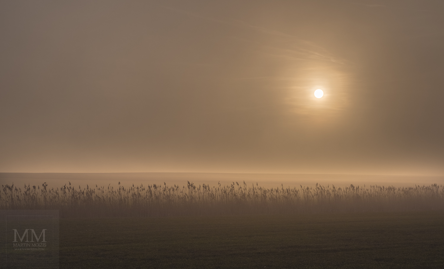 Large format Fine Art photograph of late evening foggy landscape.