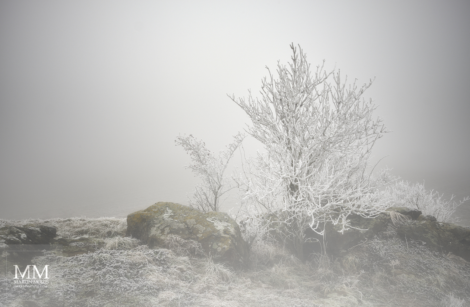 Large format fine art photograph of the winter foggy landscape. Martin Mojzis.