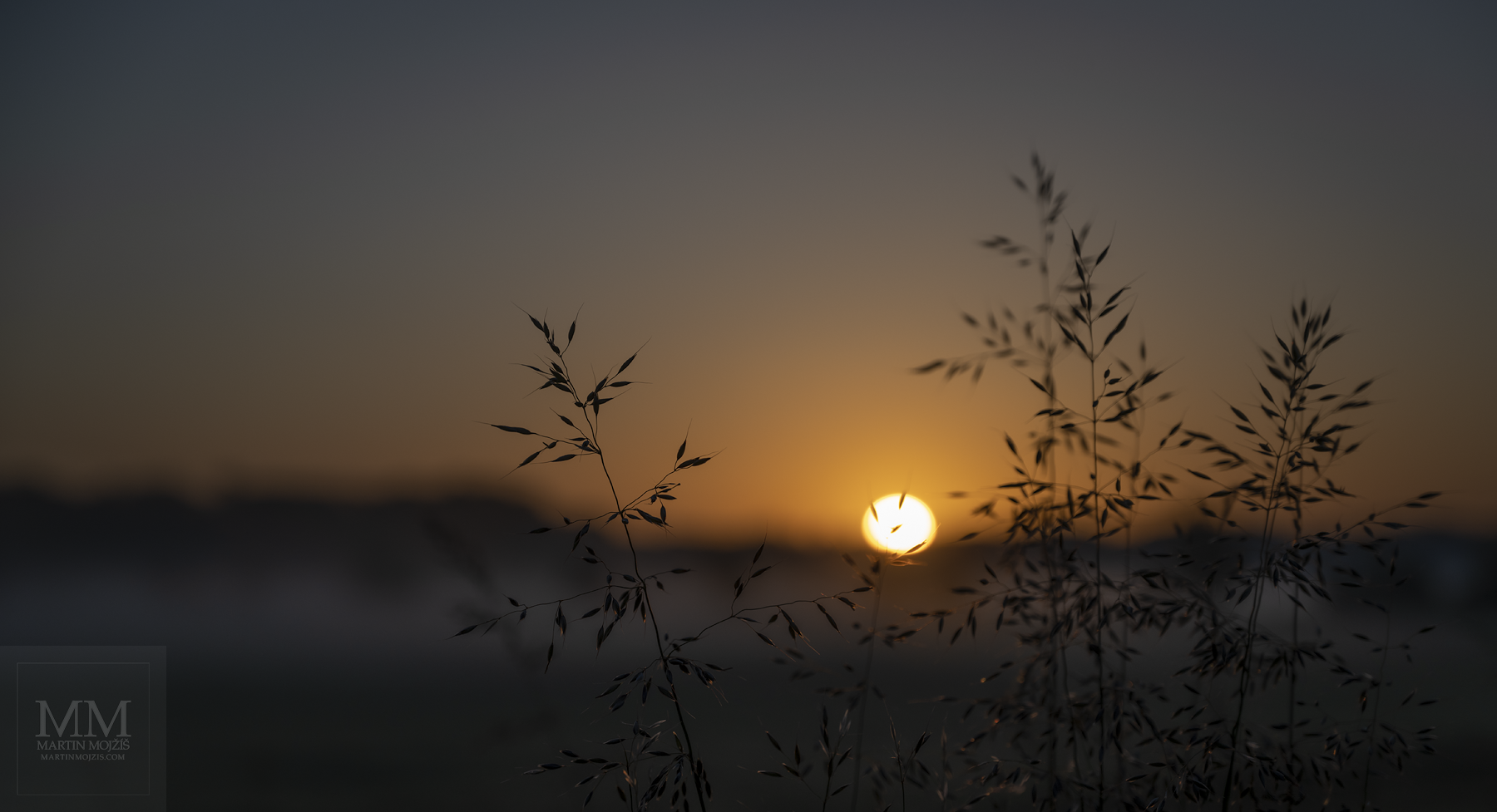 Stébla trávy, v pozadí vycházející Slunce. Velkoformátová umělecká fotografie krajiny s názvem TICHO NOVÉHO DNE. Fotograf Martin Mojžíš.