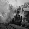 Velkoformátová umělecká černobílá fotografie parní lokomotivy v čele osobního vlaku. Martin Mojžíš.
