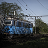 Elektrická lokomotiva 123 007-7 ČD Cargo v čele nákladního vlaku.